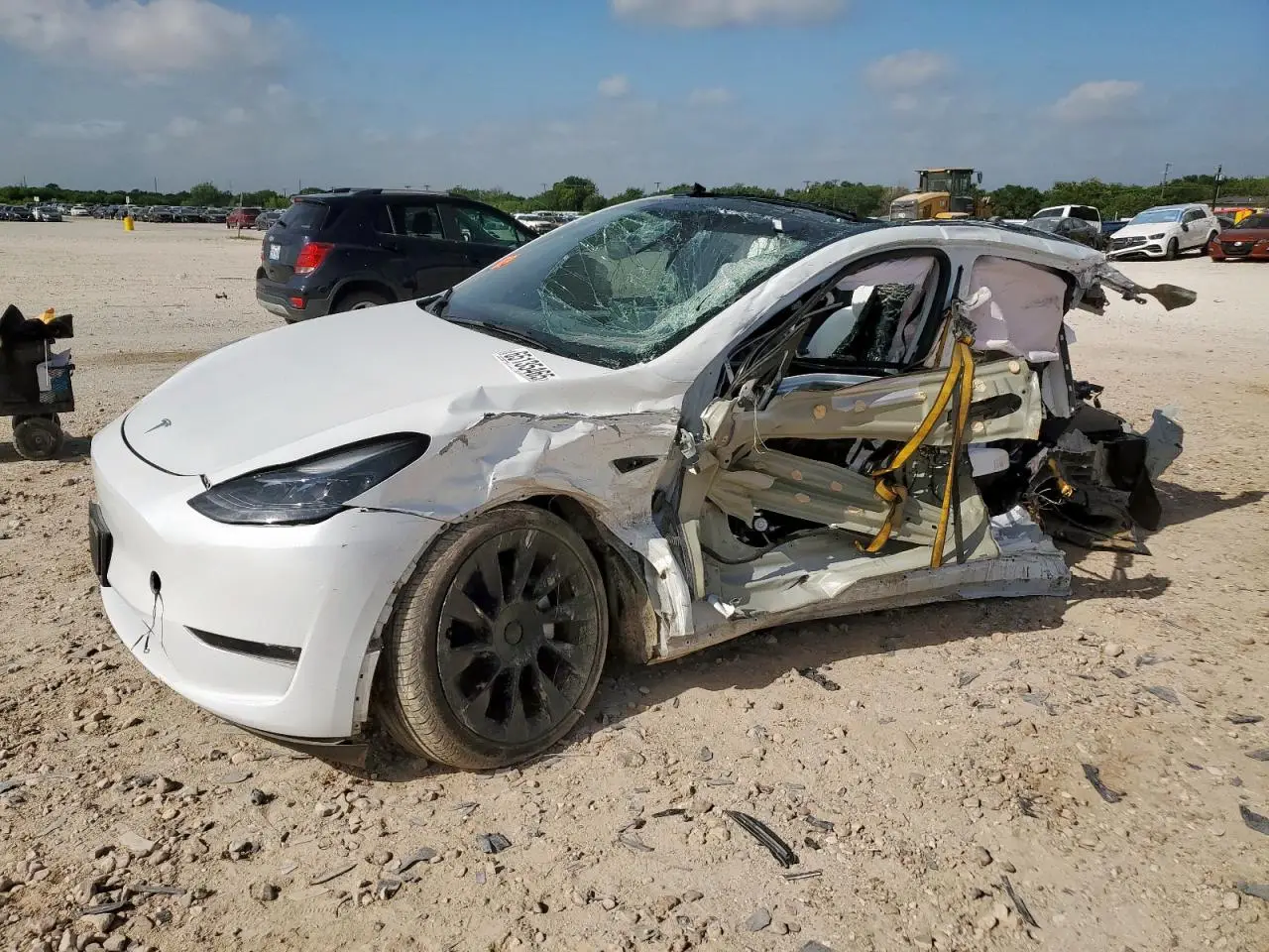 TESLA MODEL Y 2024. Lot# 65135465. VIN 7SAYGDEE8RA288486. Photo 1