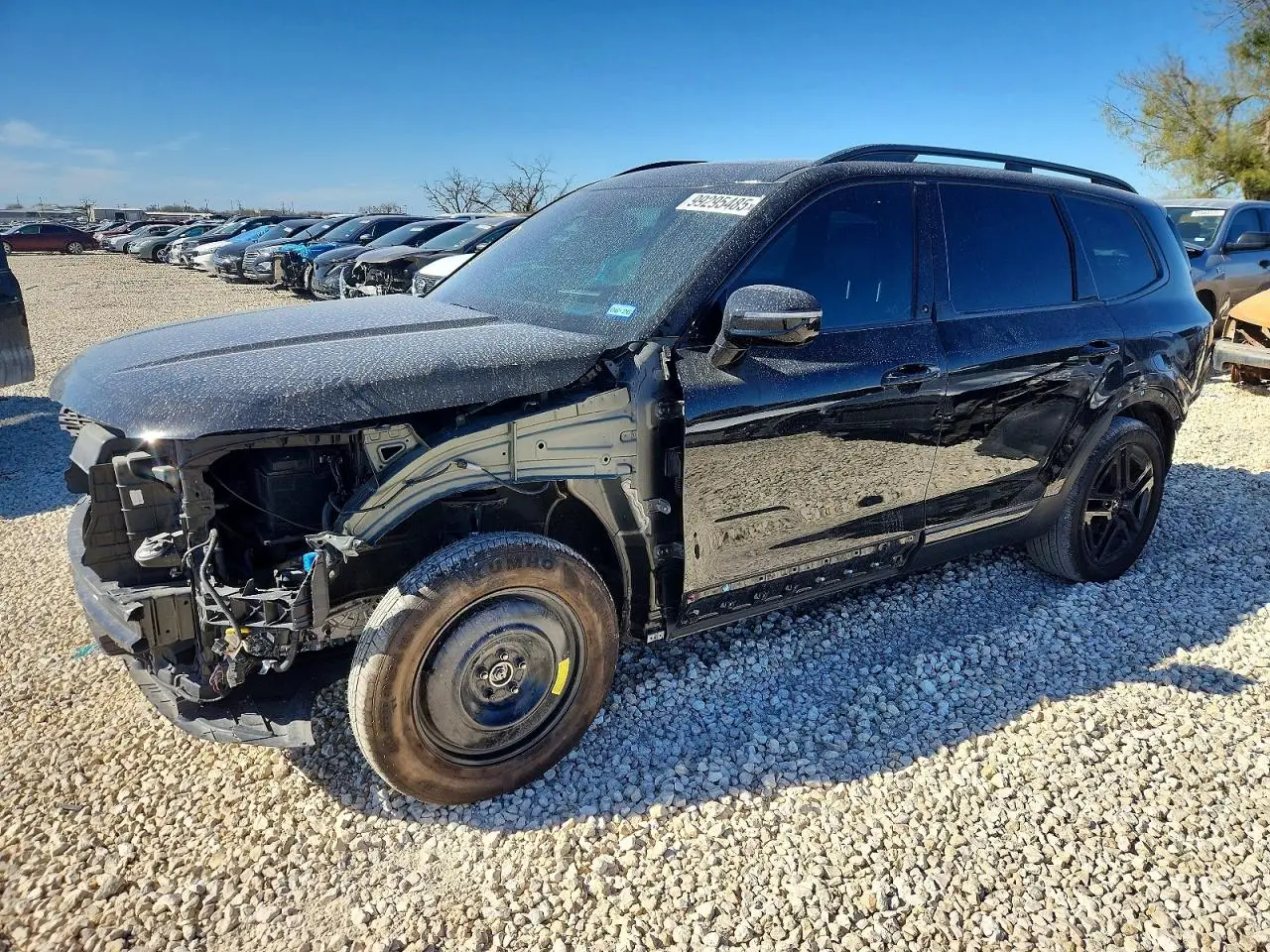 KIA TELLURIDE 2024. Lot# 99295485. VIN 5XYP5DGC8RG444144. Photo 1