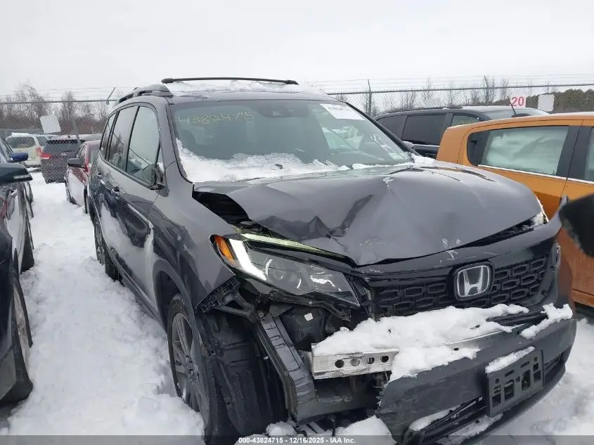 HONDA PASSPORT 2020. Lot# 43824715. VIN 5FNYF8H56LB002308. Photo 1