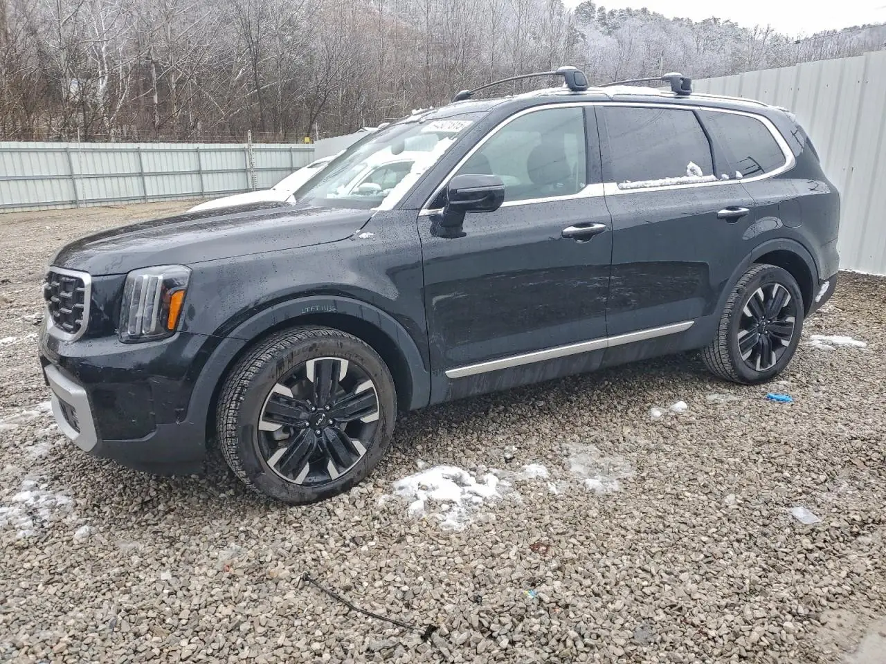 KIA TELLURIDE 2024. Lot# 94801815. VIN 5XYP54GC7RG443163. Photo 1