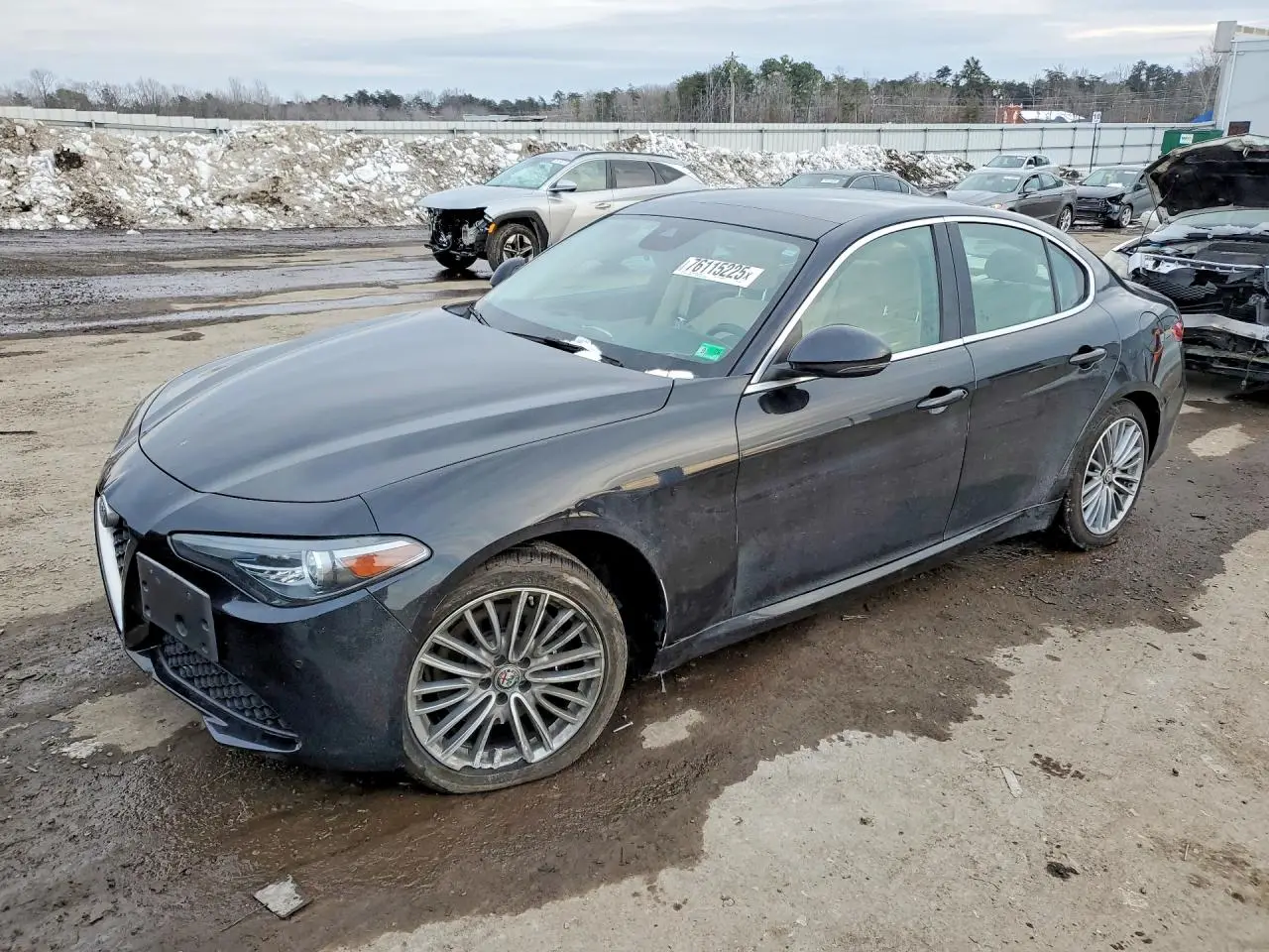 ALFA ROMEO GIULIA 2018. Lot# 76115225. VIN ZARFAEEN6J7565960. Photo 1