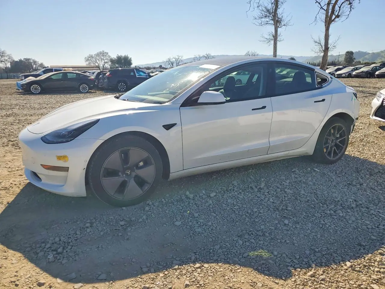 TESLA MODEL 3 2021. Lot# 75820955. VIN 5YJ3E1EAXMF074880. Photo 1